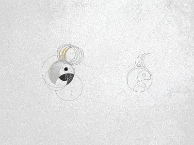 Parrot bird graphic design icon illustrator logo mark parrot sketch