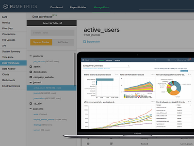 RJMetrics Data Concepts analytics apps dashboard data graph interface layout performance table ui ux web