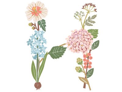 Botanical Letter H botanical floral hemlock hyacinth hibiscus holly hops hydrangea lettering typography