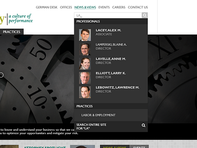 Predictive Search Results law legal responsive search wordpress