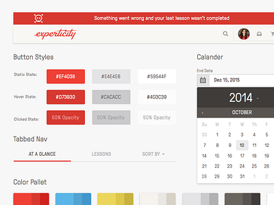 Experticity pattern library alert button calendar pattern library style guide tabs