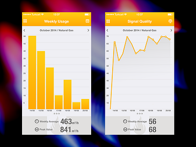 Manas Natural Gas Meter Application data ios iphone app meter mobile ui