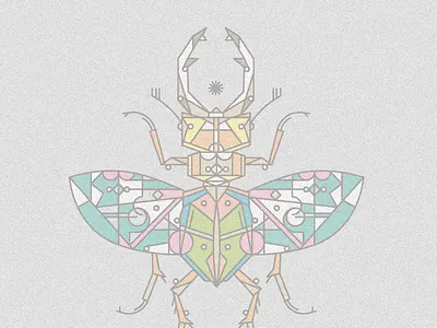stag beetle-moth bug colored insect lines linework moth stag beetle