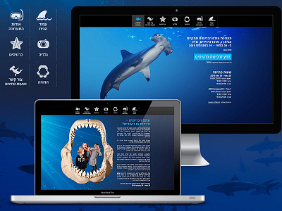 Planet Shark Exhibition Website exhibition fish sealife shark sharks ui underwater water web