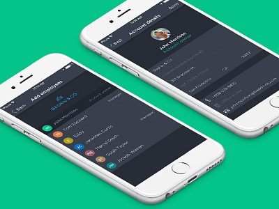 Breezeworks team settings circles design interface ios iphone rows settings teams ui ux visual