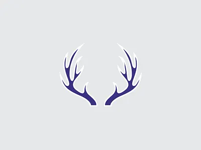 "Texas" brand design graphics vector