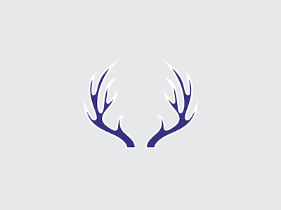 "Texas" brand design graphics vector