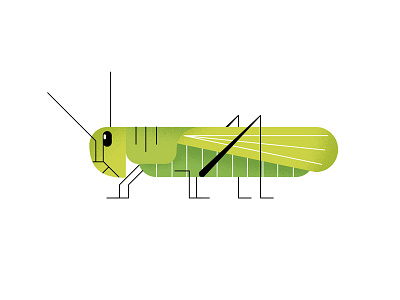 Grasshopper doodle grasshopper green spot