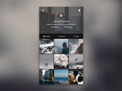 Profile Page app clean interface ios minimal mobile photo photo app pixel perfect profile page ui ux