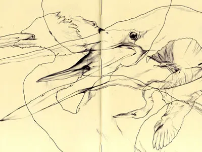great egret bestiary drawing egret great