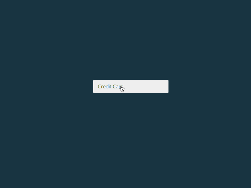 Secure Input animation css development experience forms html interaction sass text input user validation web