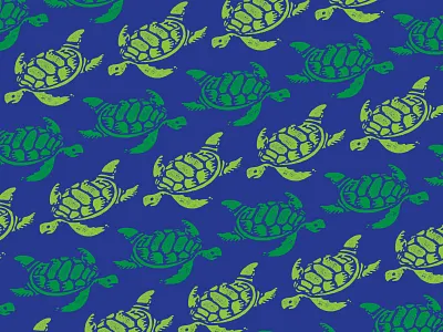 Chelonioidea (Sea Turtle) blue green ocean sea turtle turtle