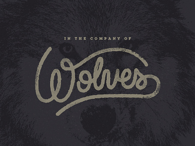 In The Company of Wolves custom handlettering incubus music rock and roll script typography wolf wolves