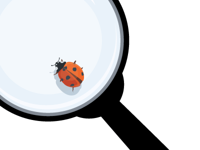 The Bug Zooming bug ladybird lens vector zoom