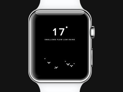 Swallows flew low rains apple watch bird rain ui ux weather weather folklore