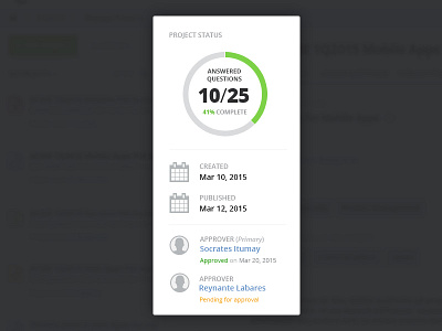 Report Summary project report sidebar status summary ui ux