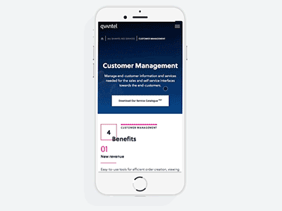 Qvantel Sales page on mobile gif landing page meom mobile qvantel web web design