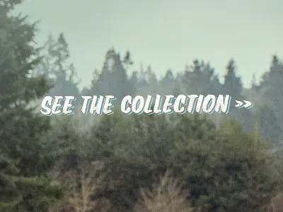 See me. Feel me. Touch me. Heal me. handlettering lettering type typography