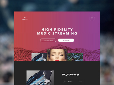 Tidal Landing Page landing page marketing design music streaming tidal