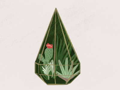 Terrarrium cactus flowers illustration plants terrarium