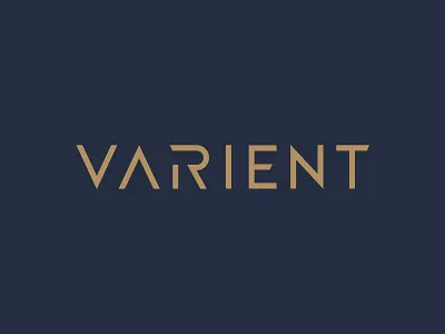 Varient Wordmark capitals custom logotype varient