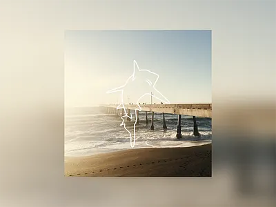 Playlist Artwork illustration line art music photography shark