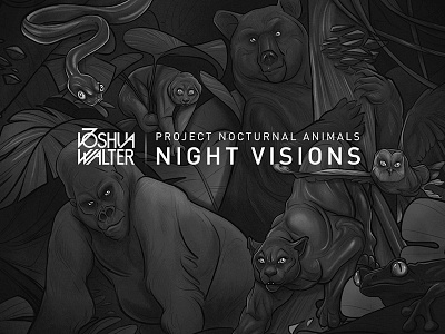 Nocturnal Animals Artwork album black cd drawing illustration joshua walter logo music nocturnal animals visual album