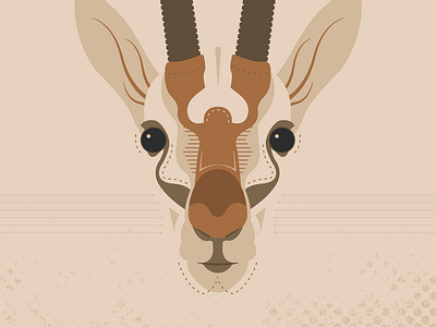 Gazelle animals flat fun gazelle illustration