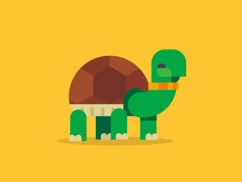 Go turtles, Go! 2d after effects animation explainer flat gif loop minimalism