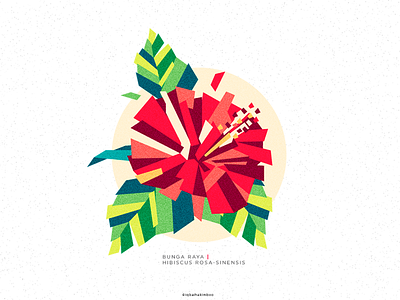 Hibiscus | Bunga Raya doodle flat floral flower hibiscus malaysia vector