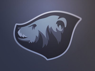 Bruin bear blue branding bruin identity logo sports branding sports identity sports logo