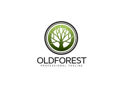 Old Forest branch fall forest majestic old tree resort season spa tree trunk vintage winter