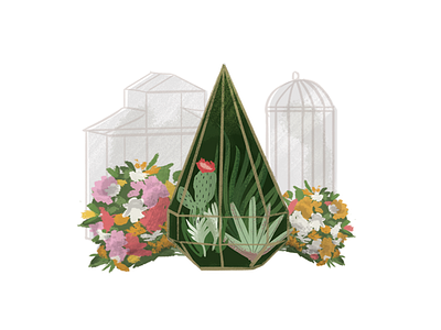 Terrarium II cactus flowers illustration plants terrarium