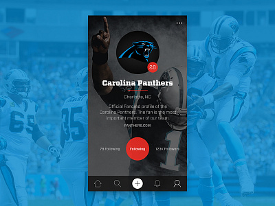 Carolina Panthers on Fancred