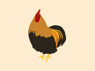 Bwok illustration rooster