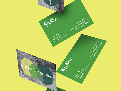PekaPlant business cards client ijsthee pekaplant portfolio