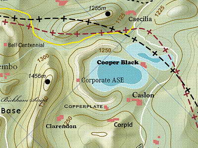 C 36daysoftype a cartography illustration map typography