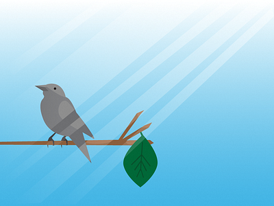 Grack on a Perch bird
