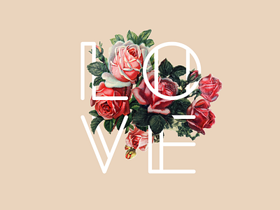 Love elegant flower font logo love modern new romantic type typeface typography