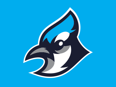 Blue Jay baseball blue branding jay logo mascot sport sports