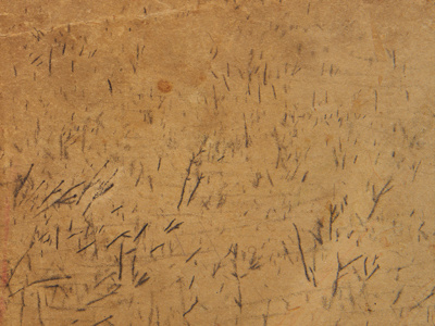 20a