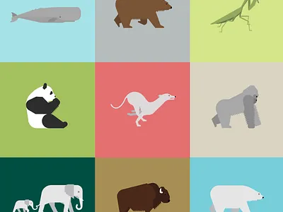 The 100 Day Project: Animalia Daily animal animal kingdom animals design geometry grid illustration minimal minimalism nature wildlife