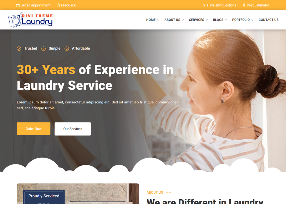 Example of Laundry Service Word Press Website
