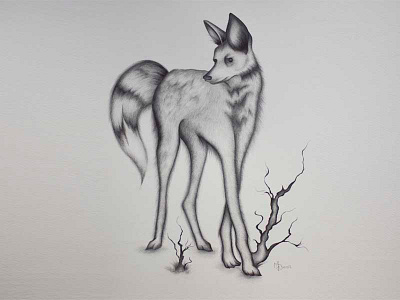 'Grace in Greys' - animal illustration animal blackandwhite drawing fox illustration sketch tree wolf