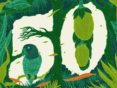 50 bird branch design editorial green illustration lettering negative number parrot plant typography