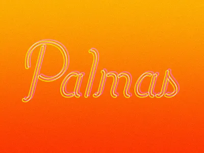 Palmas hand lettering lettering script texture typography