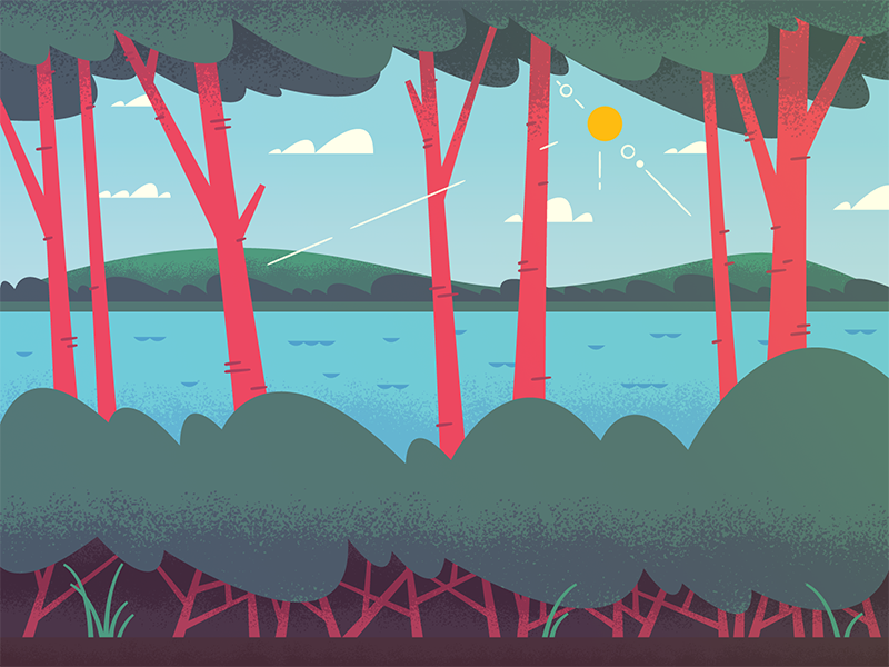 Illustration | "Country Road" awesome color design doodle fun illustration illustrator imagination inspiration landscape lines
