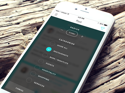 Radius and Category Selection activity android app deals food ios iphone app local mobile social ui user interface