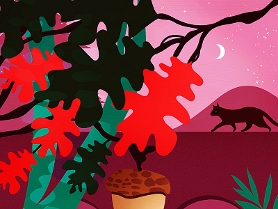 autumn autumn cat moon