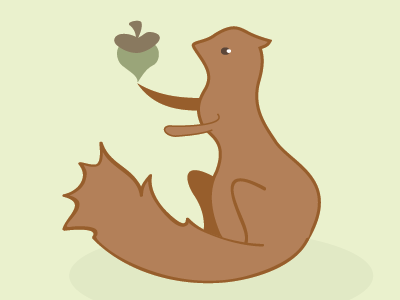 Squirrel! illustration squirrel